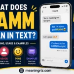 hamm meaning