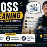 hoss meaning