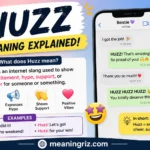 huzz meaning