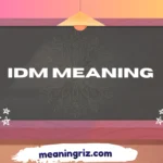 idm meaning