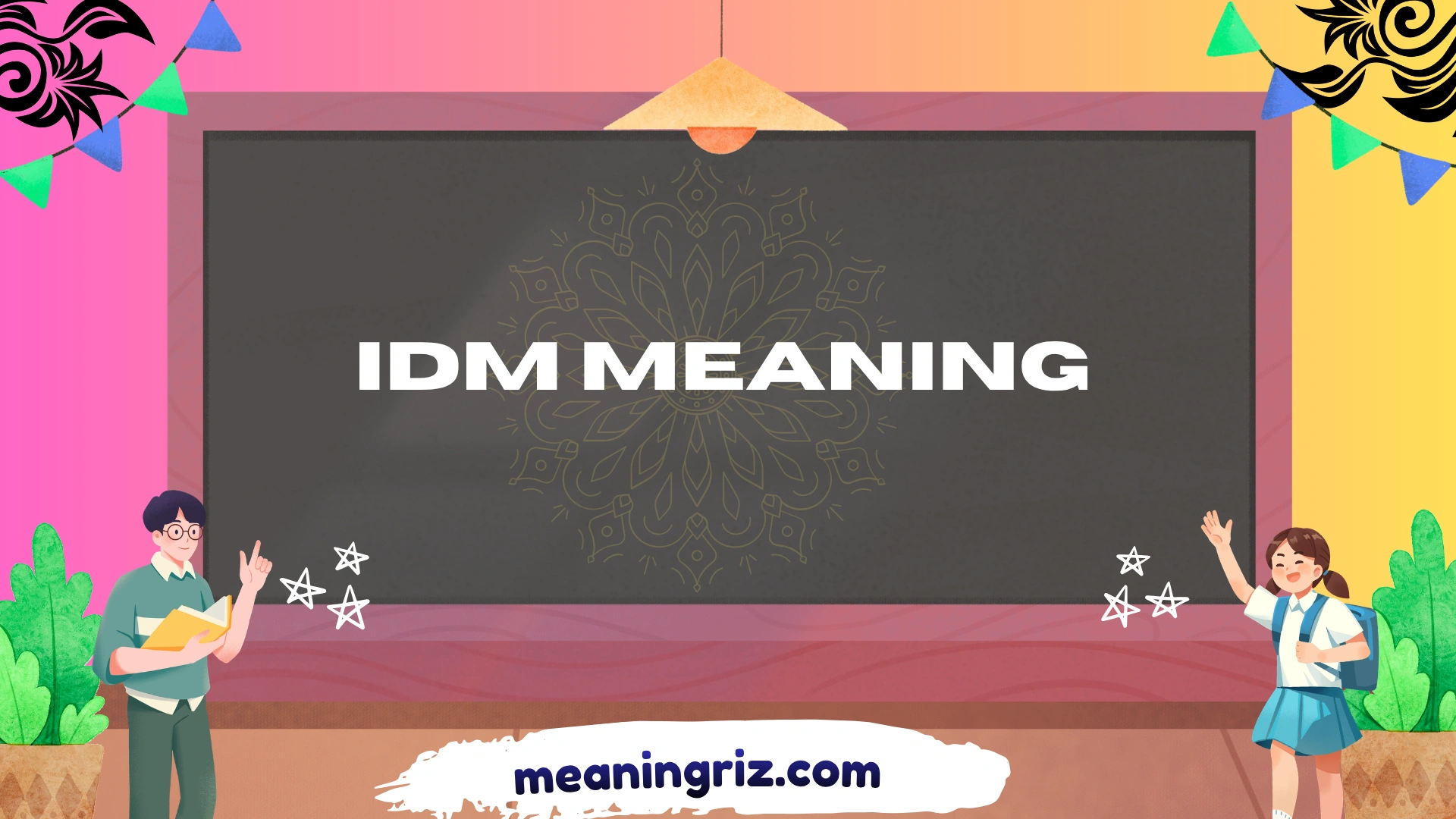 idm meaning