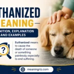 euthanized meaning