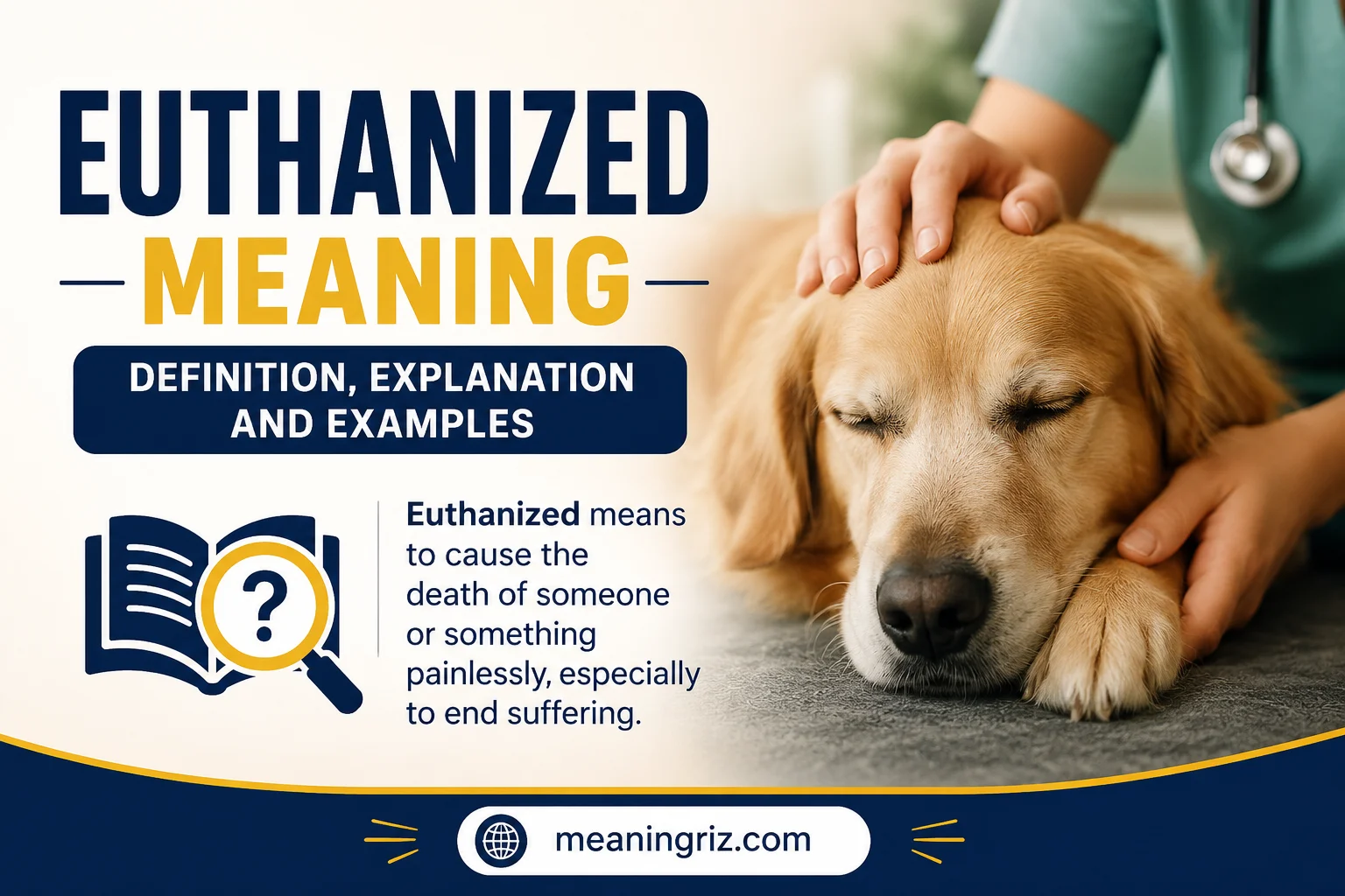 euthanized meaning