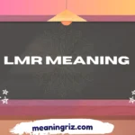 lmr meaning