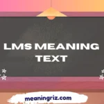 lms meaning text