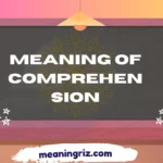 meaning of comprehension