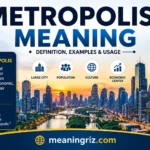 metropolis meaning