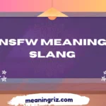 nsfw meaning slang