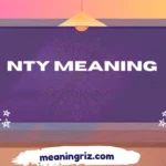 nty meaning