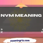 nvm meaning