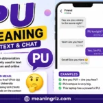 pu meaning