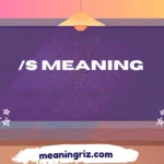 /s meaning