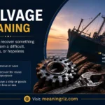 salvage meaning