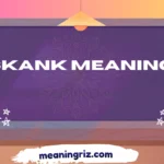 skank meaning