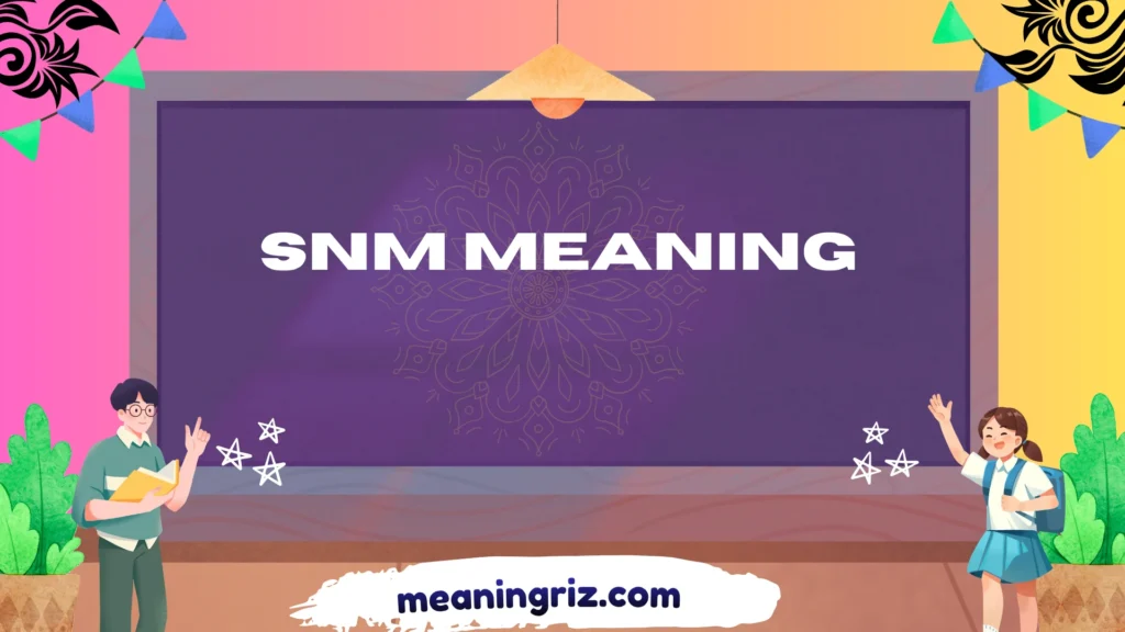 snm meaning
