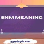 snm meaning