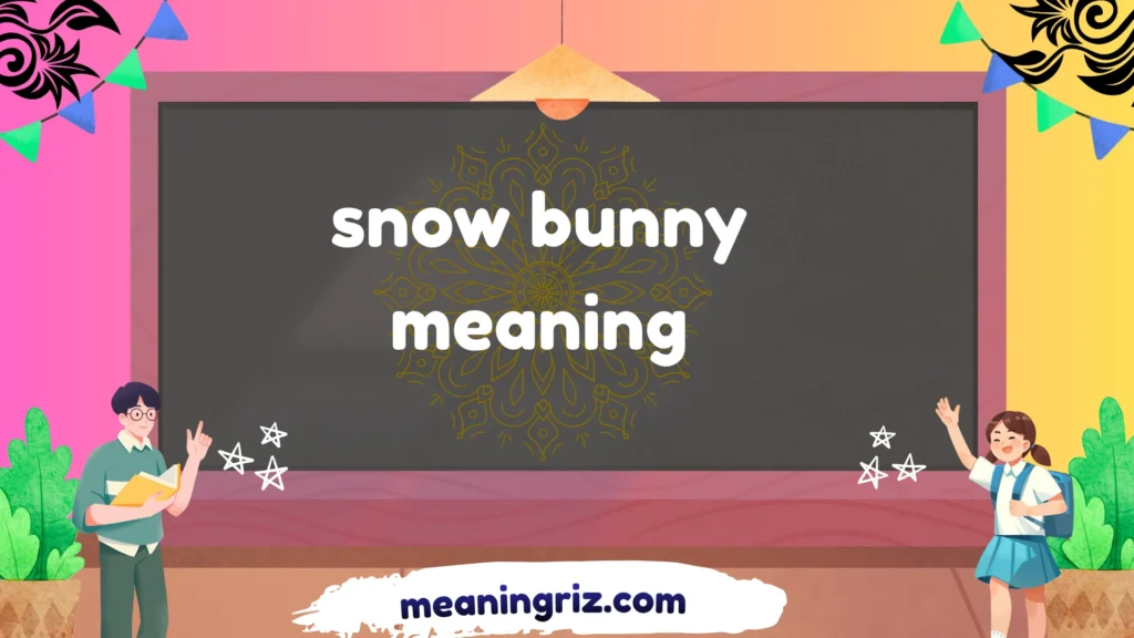 snow bunny meaning