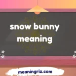 snow bunny meaning