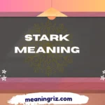 stark meaning