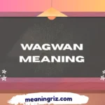wagwan meaning