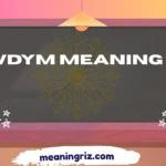 wdym meaning