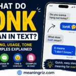 what do ionk mean in text