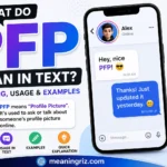 what do pfp mean in text