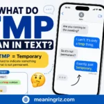 what do tmp mean in text