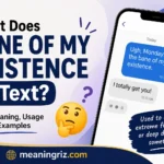 what does bane of my existence in text