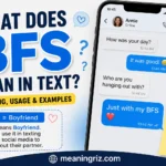 what does bfs mean in text