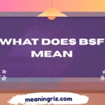 what does bsf mean