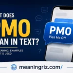 what does pmo mean in text
