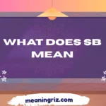 what does sb mean