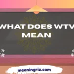 what does wtv mean