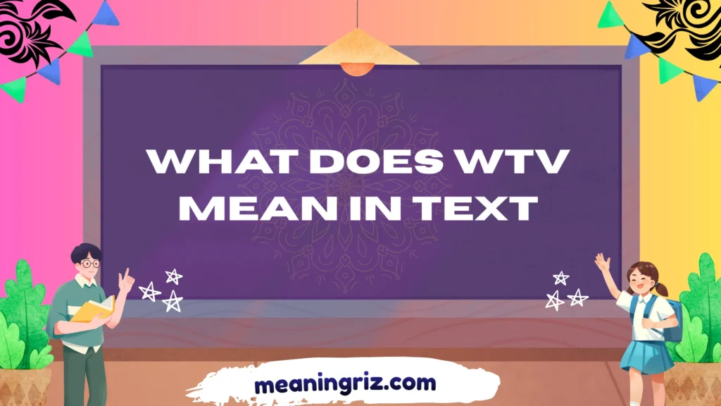 what does wtv mean in text