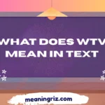what does wtv mean in text