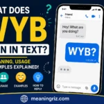 what does wyb mean in text
