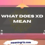what does xd mean