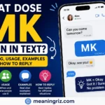 what dose mk mean in text