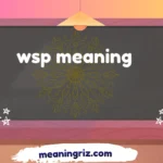 wsp meaning
