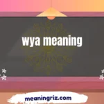 wya meaning