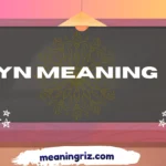 yn meaning