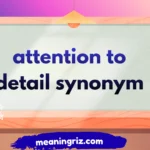 attention to detail synonym