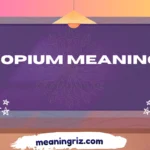 copium meaning