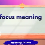 focus meaning