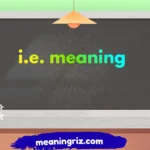 ie meaning