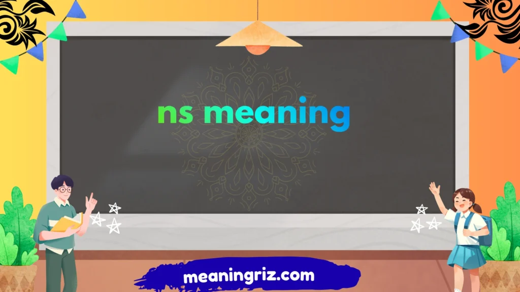 ns meaning