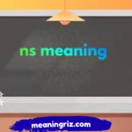 ns meaning
