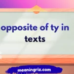 opposite of ty in texts