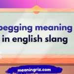 pegging meaning in english slang